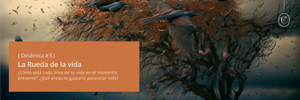 Imagen con fondo de pájaro y la frase:  Dinámica 3: la Rueda de la vida: ¿Cómo está cada área de tu vida en el momento presente? ¿Qué áreas te gustaría potenciar más=