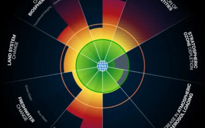 La apuesta por las comunidades locales como solución a los límites planetarios